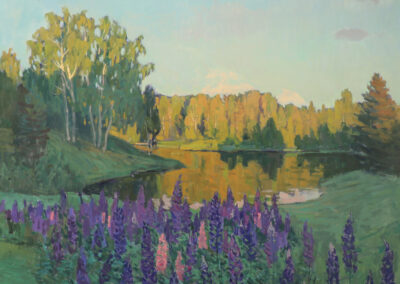 Lupines at Golden Hour