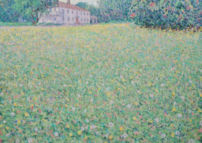Summer Meadow